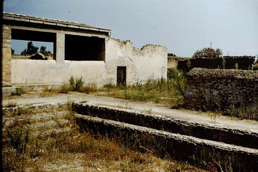 II.4.6 Pompeii. September 2019. Looking north-west across swimming pool. Photo courtesy of Klaus Heese.