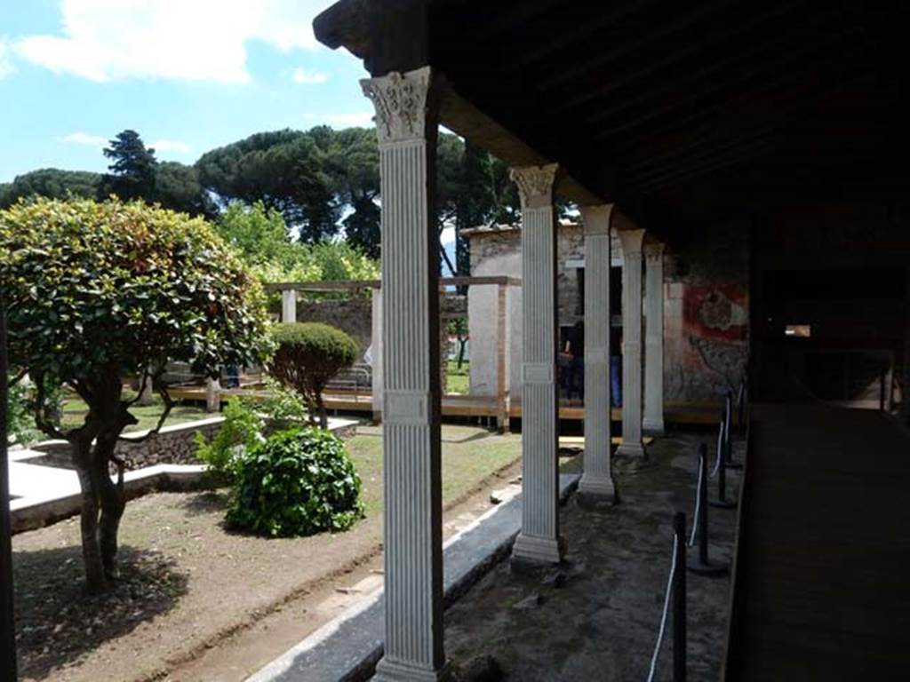 II.4.6 Pompeii. May 2016. Detail of column in west portico. Photo courtesy of Buzz Ferebee.