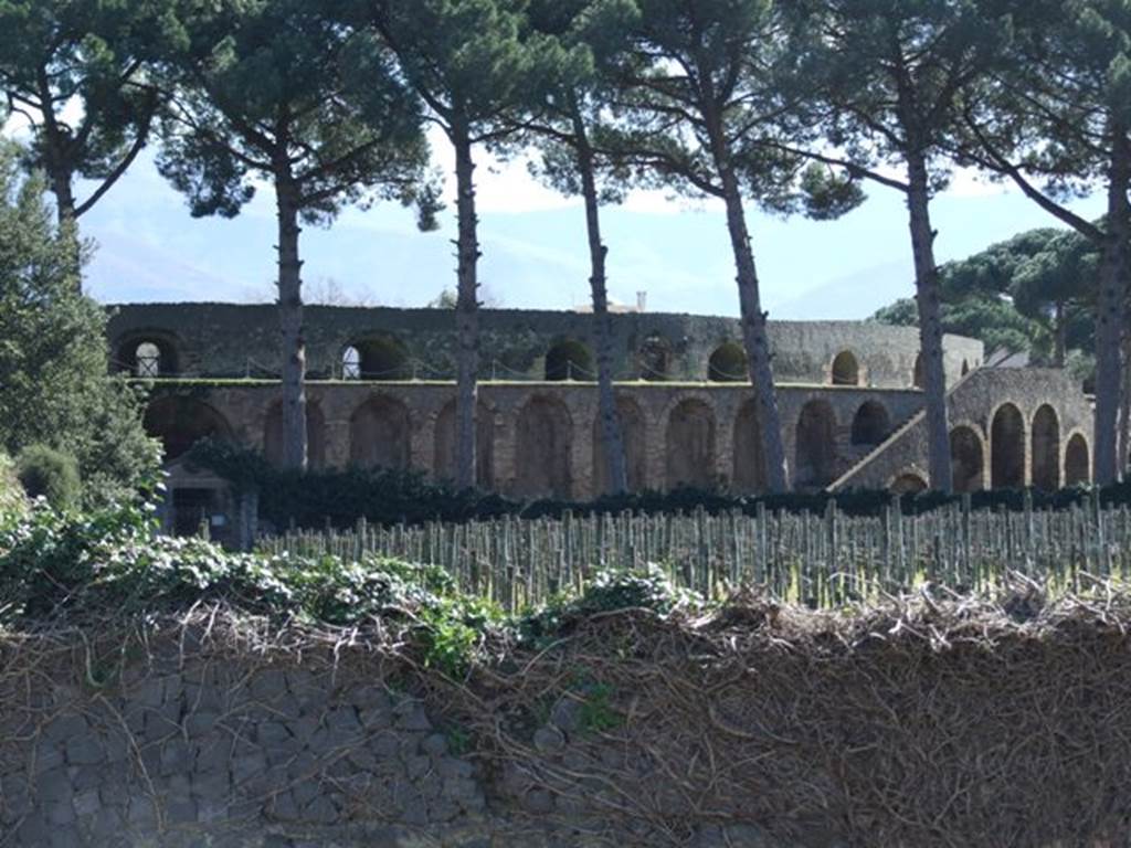 II.5.3 Pompeii. March 2009. Looking south over wall across vineyard to entrance at II.5.5 (on left) and amphitheatre.