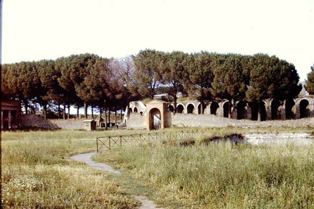 II.7.4 Pompeii. 1971. Looking towards north-east corner, and east side.  Photo by Stanley A. Jashemski.
Source: The Wilhelmina and Stanley A. Jashemski archive in the University of Maryland Library, Special Collections (See collection page) and made available under the Creative Commons Attribution-Non Commercial License v.4. See Licence and use details.
J71f0224
