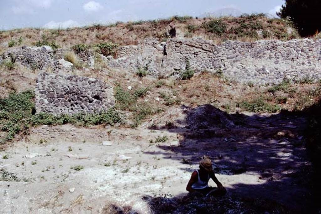 II.8.6 Pompeii. 1972. Looking north towards area of room on east side, on left, and north-east corner of garden area, on right. Photo by Stanley A. Jashemski. 
Source: The Wilhelmina and Stanley A. Jashemski archive in the University of Maryland Library, Special Collections (See collection page) and made available under the Creative Commons Attribution-Non Commercial License v.4. See Licence and use details. J72f0676
