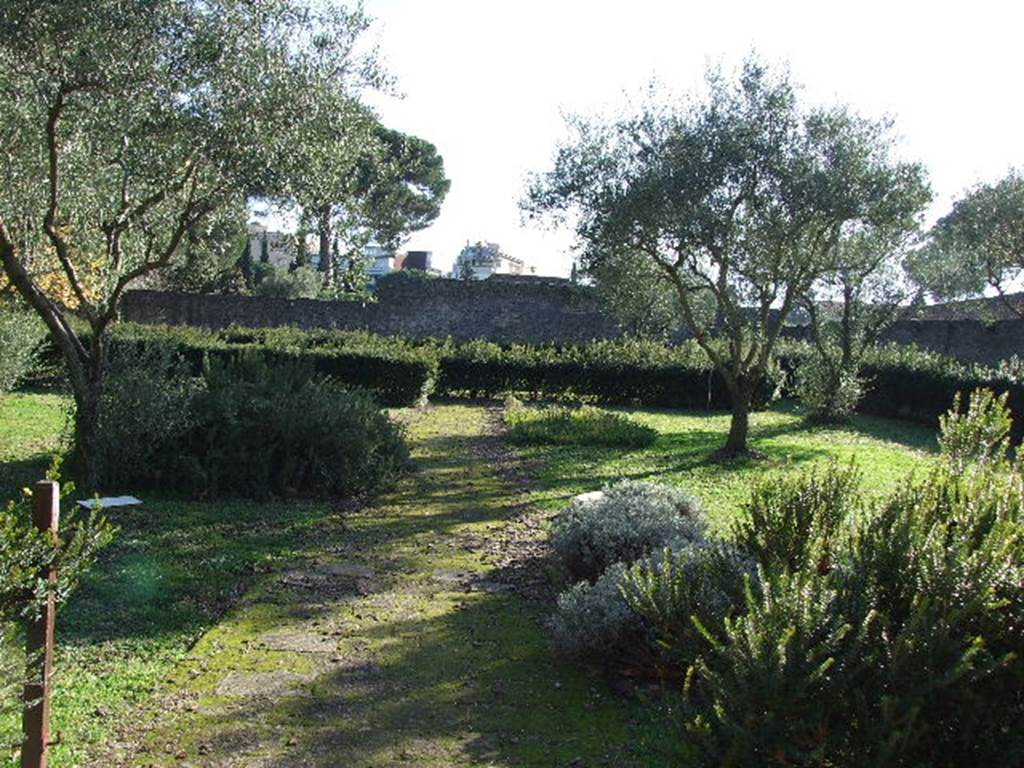 II.8.6 House of the Garden of Hercules.    View of garden looking south.