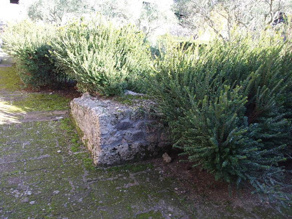 II.8.6 House of the Garden of Hercules.    Remains of water feature in north west corner of garden.