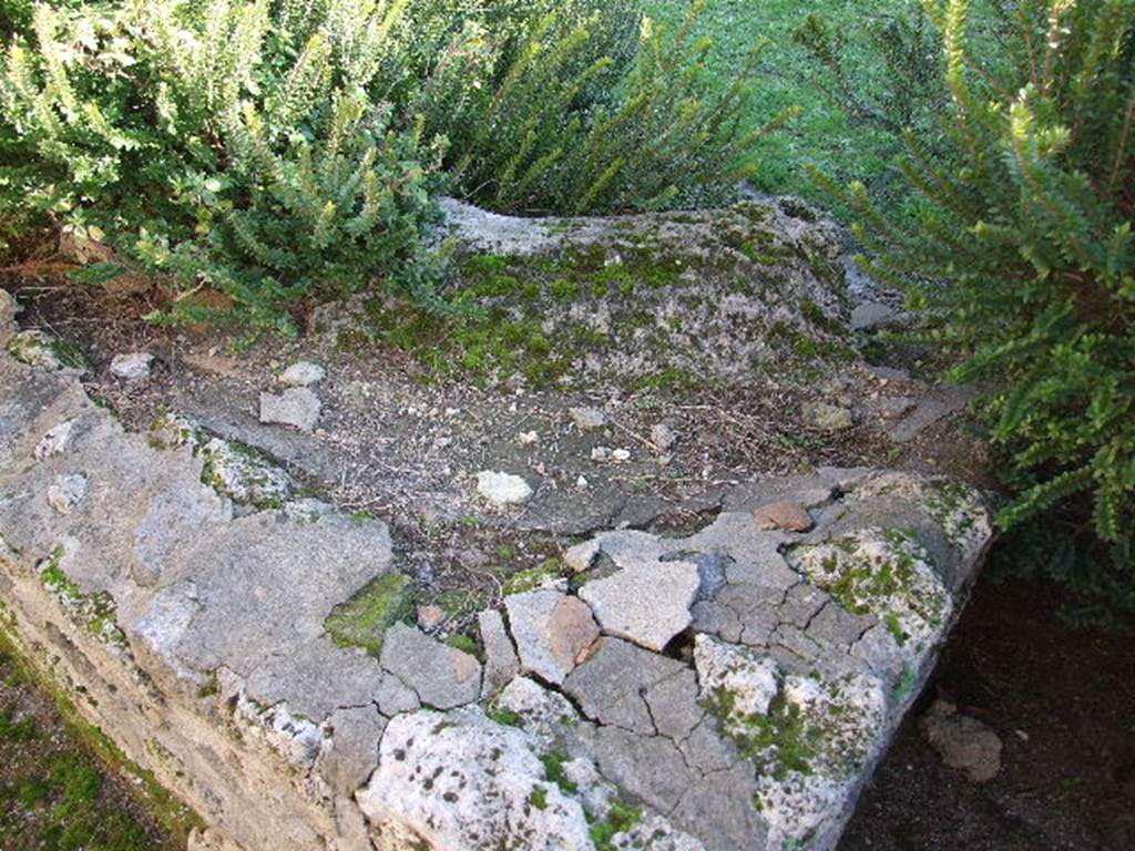 II.8.6 House of the Garden of Hercules.    Remains of water feature in north west corner of garden.