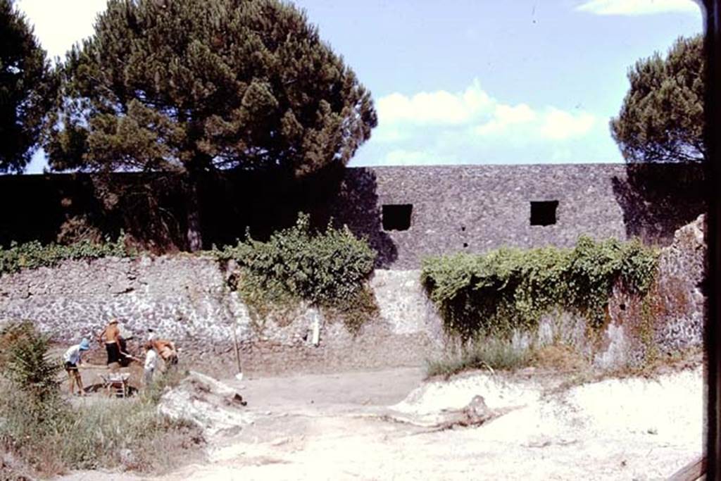 II.8.6 Pompeii, 1973. South-east corner. Photo by Stanley A. Jashemski. 
Source: The Wilhelmina and Stanley A. Jashemski archive in the University of Maryland Library, Special Collections (See collection page) and made available under the Creative Commons Attribution-Non Commercial License v.4. See Licence and use details. J73f0249
