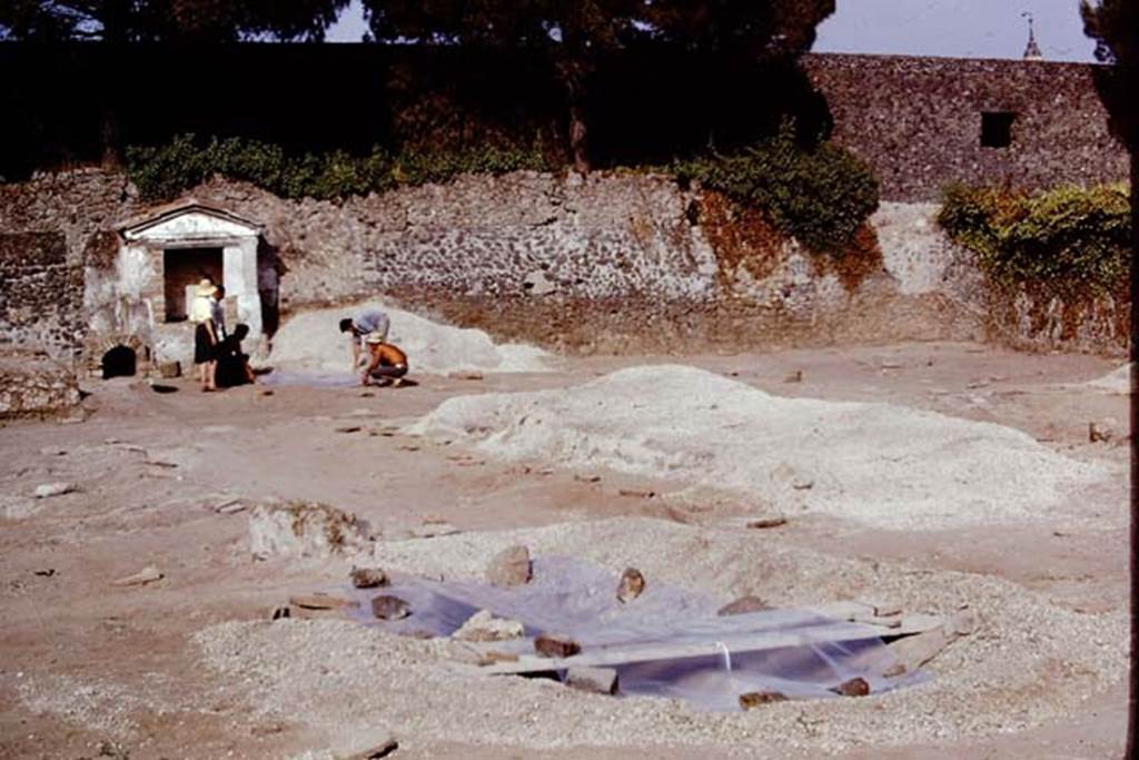 II.8.6 Pompeii, 1973. Looking south-east across protected large root cavity. Photo by Stanley A. Jashemski. 
Source: The Wilhelmina and Stanley A. Jashemski archive in the University of Maryland Library, Special Collections (See collection page) and made available under the Creative Commons Attribution-Non Commercial License v.4. See Licence and use details. J73f0281
