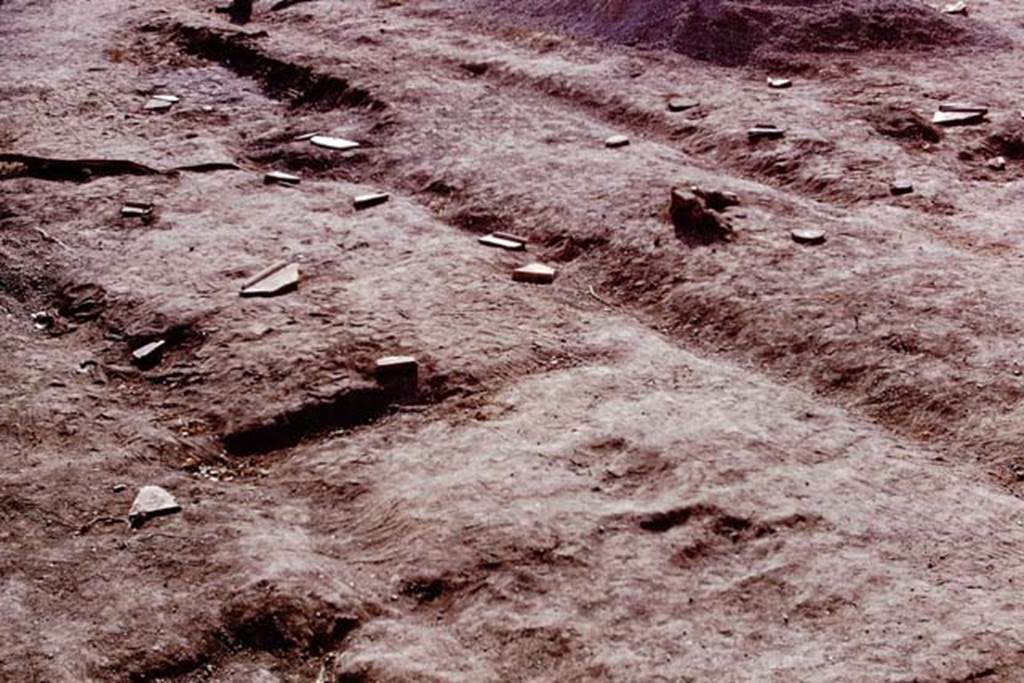 II.8.6 Pompeii, 1973. Root cavities and furrows. Photo by Stanley A. Jashemski. 
Source: The Wilhelmina and Stanley A. Jashemski archive in the University of Maryland Library, Special Collections (See collection page) and made available under the Creative Commons Attribution-Non Commercial License v.4. See Licence and use details. J73f0288
