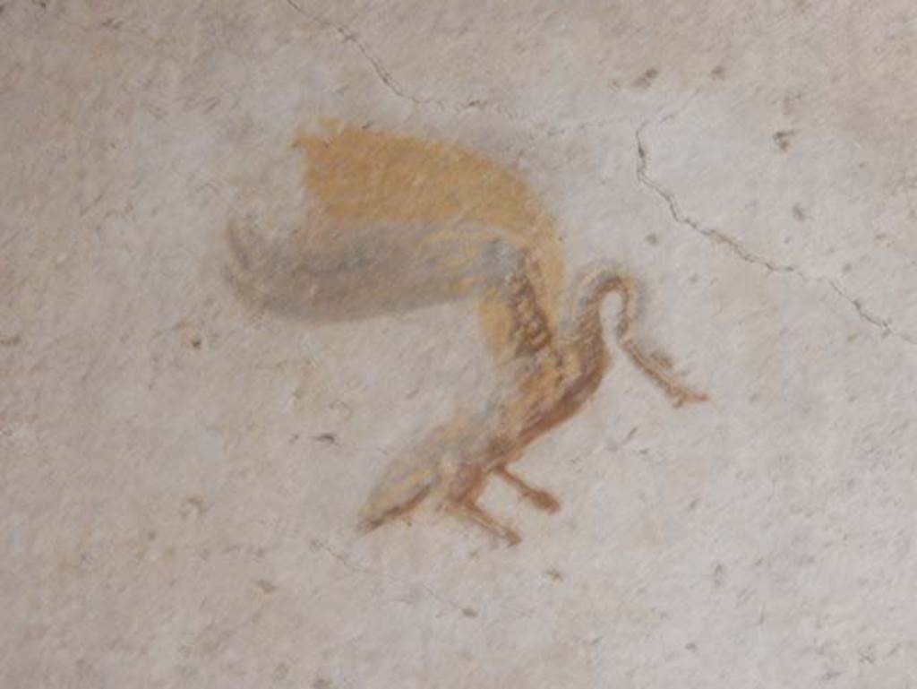 II.9.4 Pompeii. May 2018. Room 4, north wall, detail of swan from centre of panels. Photo courtesy of Buzz Ferebee. 

