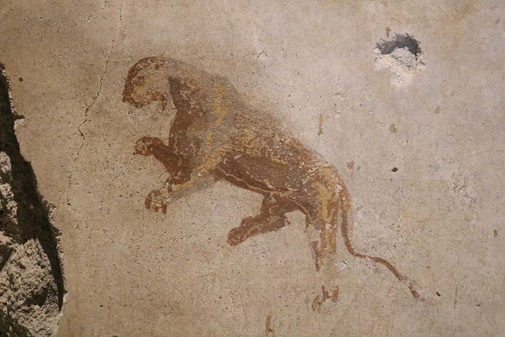 II.9.4 Pompeii. December 2018. Room 4, detail of panther from centre of middle panel on east wall. Photo courtesy of Aude Durand.
