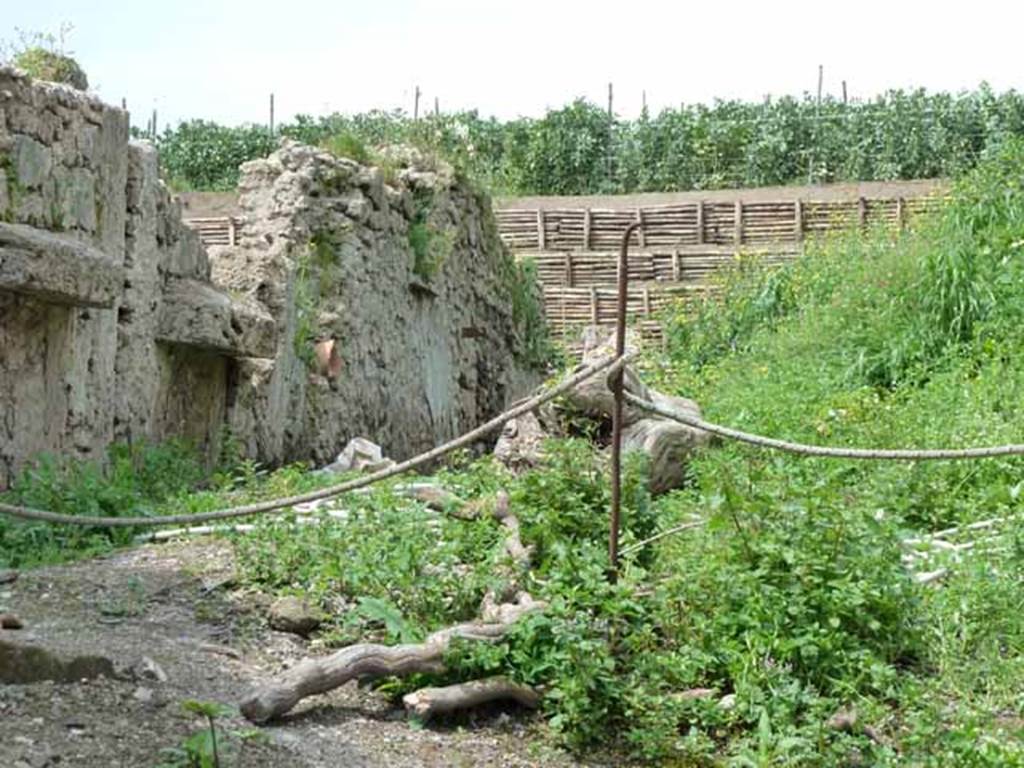 III.4.3 Side wall. May 2010. Unnamed vicolo, west side. Rear of the east garden wall at the rear of III.4.3