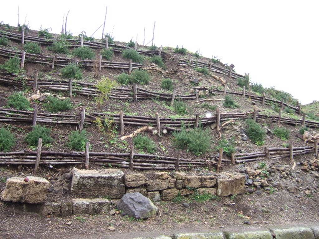 III.7.2 Pompeii. December 2005. Remains of site of front wall between III.7.1 and III.7.2. 