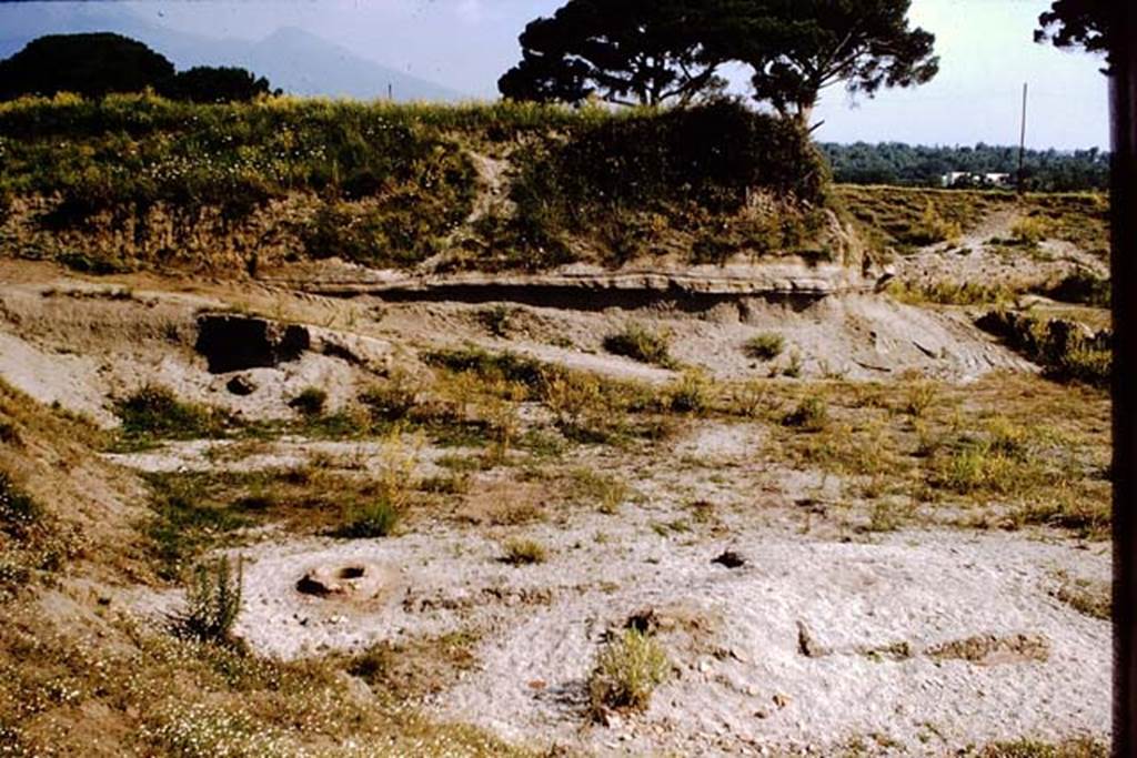 III.7 Pompeii. 1964. Looking towards the north side.  Photo by Stanley A. Jashemski.
Source: The Wilhelmina and Stanley A. Jashemski archive in the University of Maryland Library, Special Collections (See collection page) and made available under the Creative Commons Attribution-Non Commercial License v.4. See Licence and use details.
J64f1999
