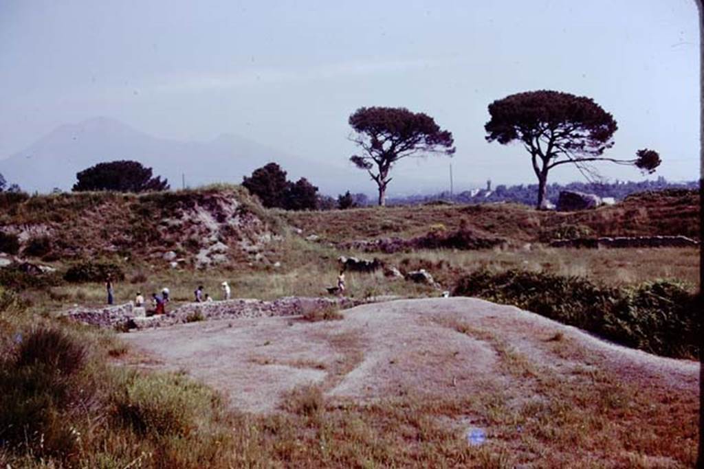 III.7 Pompeii. 1976. Looking north across area. Photo by Stanley A. Jashemski.   
Source: The Wilhelmina and Stanley A. Jashemski archive in the University of Maryland Library, Special Collections (See collection page) and made available under the Creative Commons Attribution-Non Commercial License v.4. See Licence and use details. J76f0313
