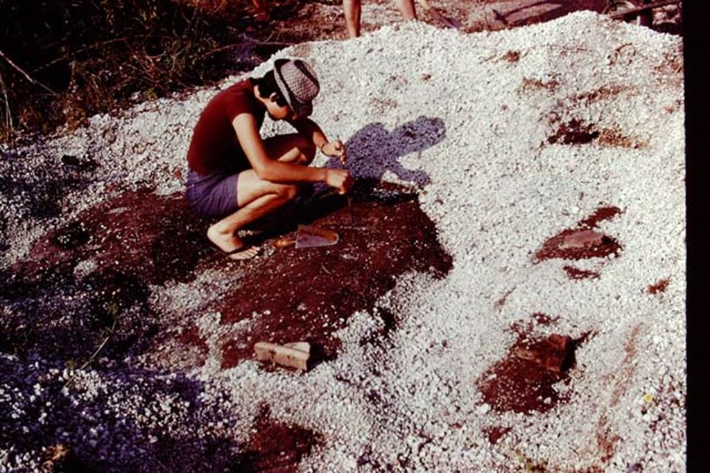 III.7 Pompeii. 1976. Cleaning the root cavities. Photo by Stanley A. Jashemski.   
Source: The Wilhelmina and Stanley A. Jashemski archive in the University of Maryland Library, Special Collections (See collection page) and made available under the Creative Commons Attribution-Non Commercial License v.4. See Licence and use details. J76f0322
