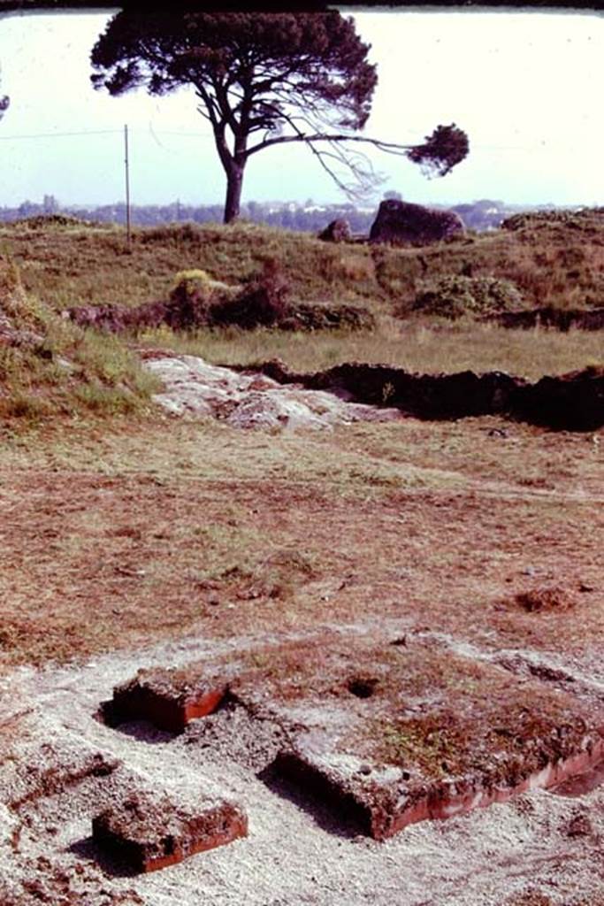 III.7 Pompeii. 1976. Looking north-east across triclinium. Photo by Stanley A. Jashemski.   
Source: The Wilhelmina and Stanley A. Jashemski archive in the University of Maryland Library, Special Collections (See collection page) and made available under the Creative Commons Attribution-Non Commercial License v.4. See Licence and use details. J76f0337
