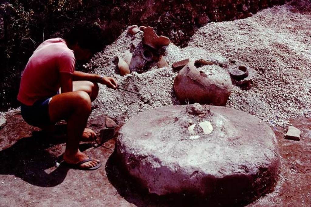 III.7 Pompeii. 1976. Finds from near south wall, possibly from near the rear doorway of the house.  The circular object was difficult to explain by Wilhelmina. It was made of cocciopesto (cement with crushed terracotta) and had a slight peak at its centre.
It had a somewhat similar shape to the masonry base that would have supported the mill in a bakery. Nearby a heap of terracotta fragments of amphorae, and pots and pans of various kinds. Photo by Stanley A. Jashemski.   
Source: The Wilhelmina and Stanley A. Jashemski archive in the University of Maryland Library, Special Collections (See collection page) and made available under the Creative Commons Attribution-Non Commercial License v.4. See Licence and use details. J76f0350
