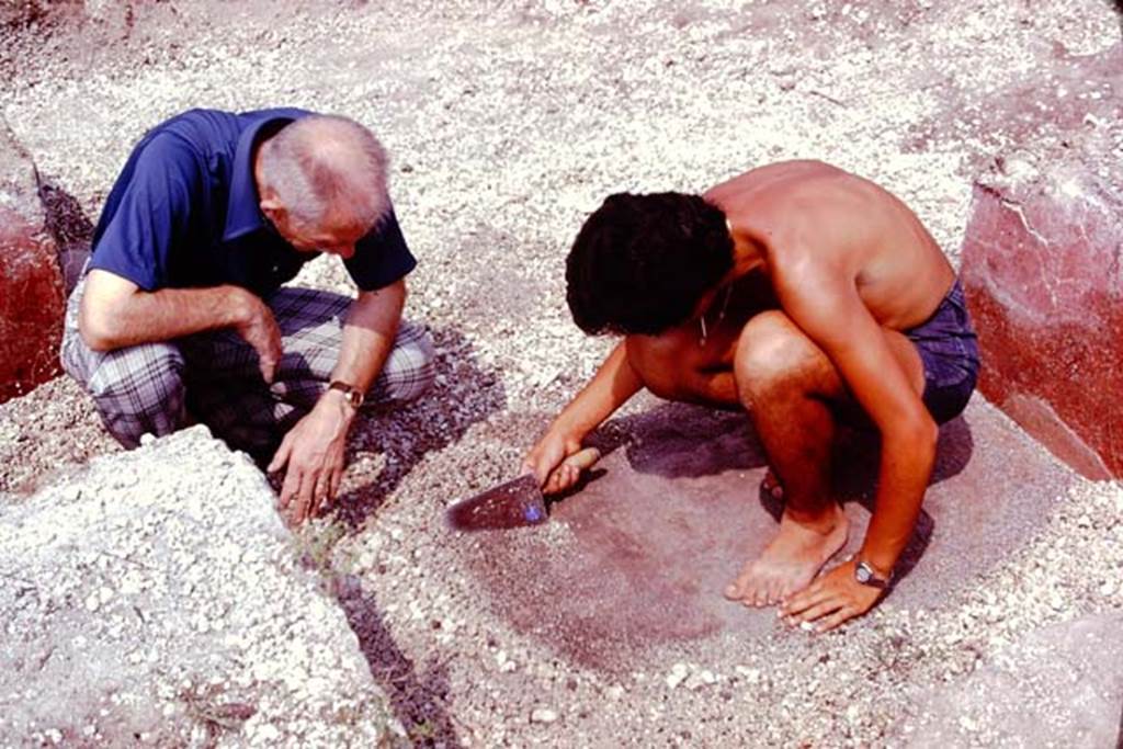 III.7 Pompeii. 1976. Carefully sifting through the lapilli. Photo by Stanley A. Jashemski.   
Source: The Wilhelmina and Stanley A. Jashemski archive in the University of Maryland Library, Special Collections (See collection page) and made available under the Creative Commons Attribution-Non Commercial License v.4. See Licence and use details. J76f0369
