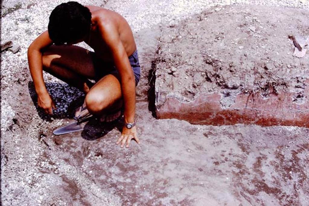 III.7 Pompeii. 1976. Examining the original soil level. Photo by Stanley A. Jashemski.   
Source: The Wilhelmina and Stanley A. Jashemski archive in the University of Maryland Library, Special Collections (See collection page) and made available under the Creative Commons Attribution-Non Commercial License v.4. See Licence and use details. J76f0424
