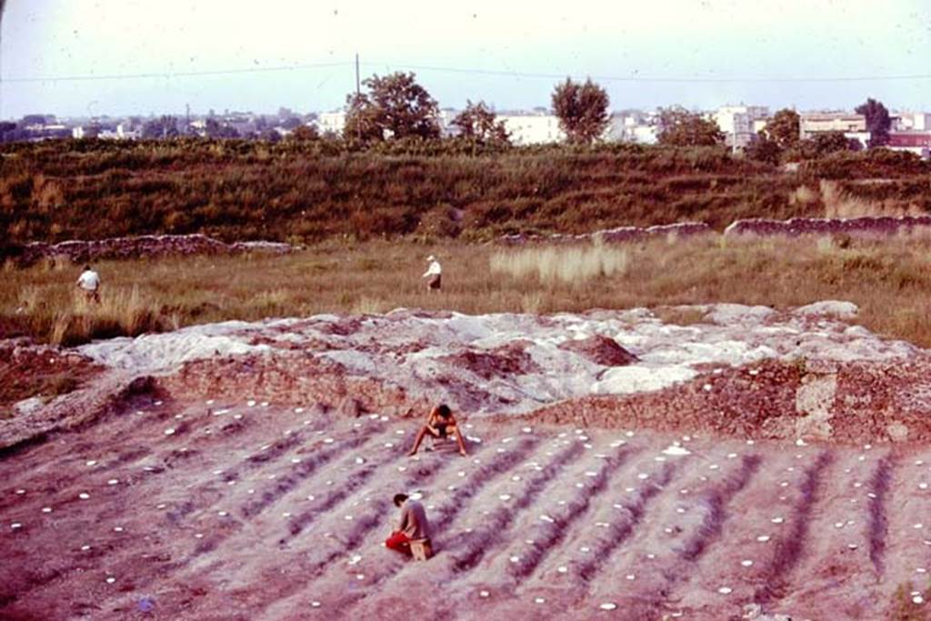 III.7 Pompeii. 1976. Looking east towards triangular area, with Wilhelmina and Sig. Sicignano examining it. Photo by Stanley A. Jashemski.   
Source: The Wilhelmina and Stanley A. Jashemski archive in the University of Maryland Library, Special Collections (See collection page) and made available under the Creative Commons Attribution-Non Commercial License v.4. See Licence and use details. J76f0472
