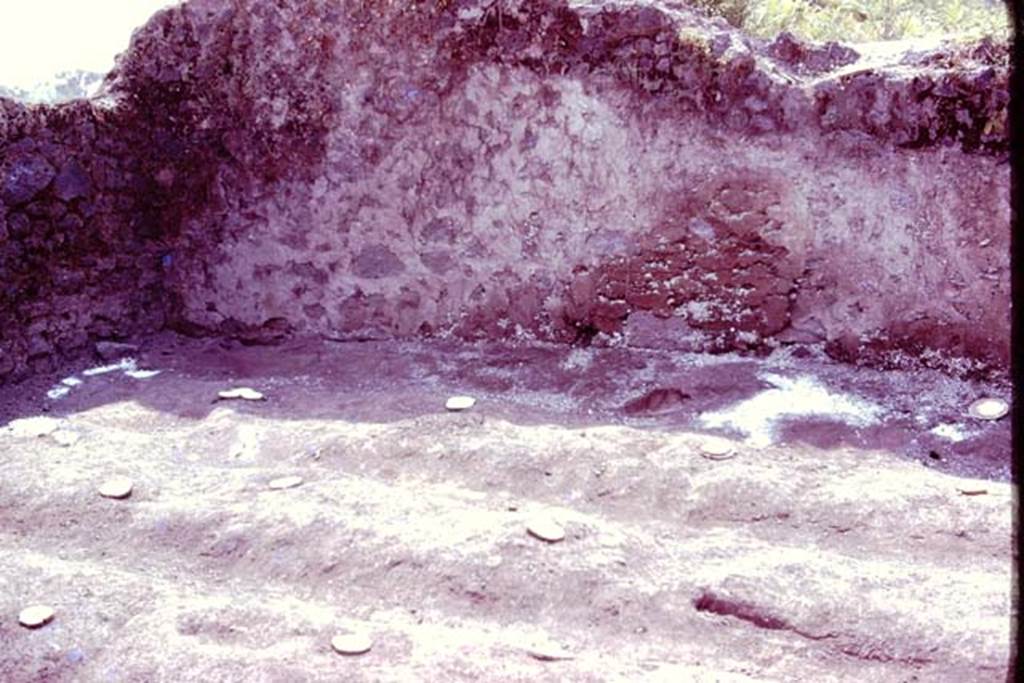 III.7 Pompeii. 1976. South-east corner, with furrows and root cavities. Photo by Stanley A. Jashemski.   
Source: The Wilhelmina and Stanley A. Jashemski archive in the University of Maryland Library, Special Collections (See collection page) and made available under the Creative Commons Attribution-Non Commercial License v.4. See Licence and use details. J76f0548
According to Wilhelmina, Tree-root cavities were found along the edges of the vineyard near the east and south walls. The large tree near the east wall and the one near the south wall had the root structures of figs or possibly olives.
See Jashemski, W. F., 1993. The Gardens of Pompeii, Volume II: Appendices. New York: Caratzas, (p.104).
