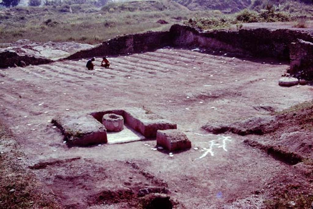 III.7 Pompeii. 1976. Looking south-east. Photo by Stanley A. Jashemski.   
Source: The Wilhelmina and Stanley A. Jashemski archive in the University of Maryland Library, Special Collections (See collection page) and made available under the Creative Commons Attribution-Non Commercial License v.4. See Licence and use details. J76f0546
According to Wilhelmina, Found next to the triclinium, were the cavities of the post of the pergola, and root cavities of the vines that had shaded it. To the west of the triclinium was a nursery plot with low masonry walls on the east and south, which was filled with an unusual black soil.  Here a broken planting pot with one hole in the bottom and three holes in its side, was found. It was sent to be restored.
