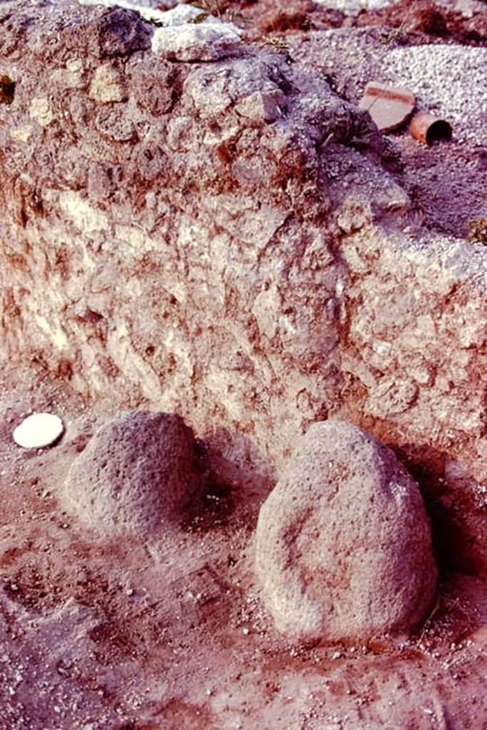 III.7 Pompeii. 1976. Two boundary stones. Photo by Stanley A. Jashemski.   
Source: The Wilhelmina and Stanley A. Jashemski archive in the University of Maryland Library, Special Collections (See collection page) and made available under the Creative Commons Attribution-Non Commercial License v.4. See Licence and use details. J76f0531
According to Wilhelmina, Against the east wall of the vineyard about 20 feet from the south wall, as large lava stone was firmly planted in the ground, with a smaller one beside it to the left. They were boundary stones. Two properties had apparently been combined to be planted into one vineyard.
