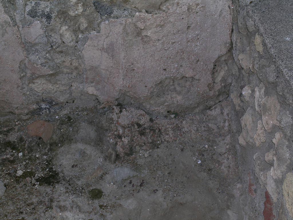 V.1.2 Pompeii. June 2005. 
Remains of plaster from rear west wall, on north end of podium, or basin/vat. Photo courtesy of Nicolas Monteix.
