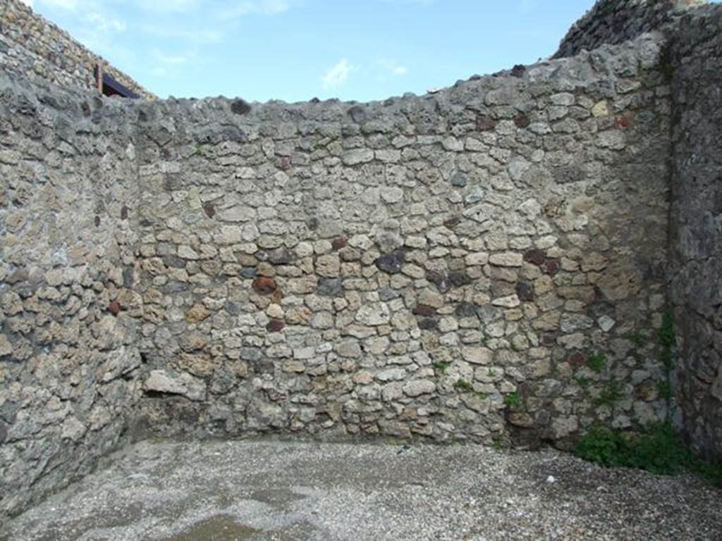 V.1.19 Pompeii. March 2009.  East wall.