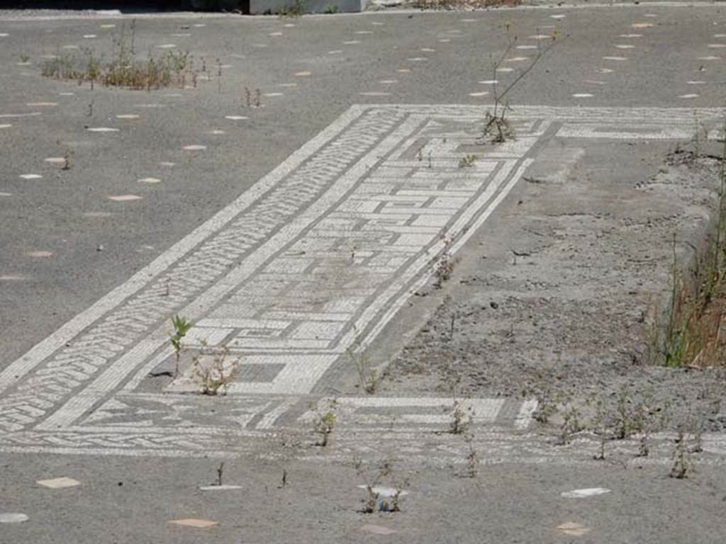 V.1.26 Pompeii. May 2017. Room “b”, north side of impluvium in atrium. Photo courtesy of Buzz Ferebee.