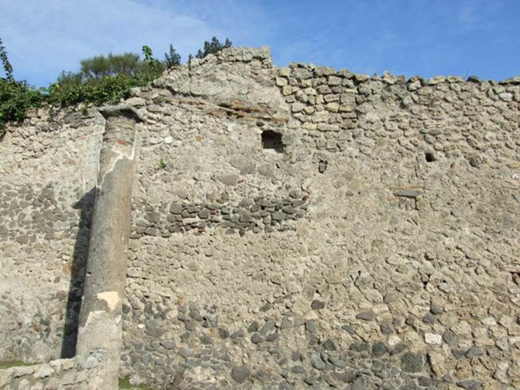 V.2.10 Domus of Paccia.  Column in north of peristyle next to east wall.