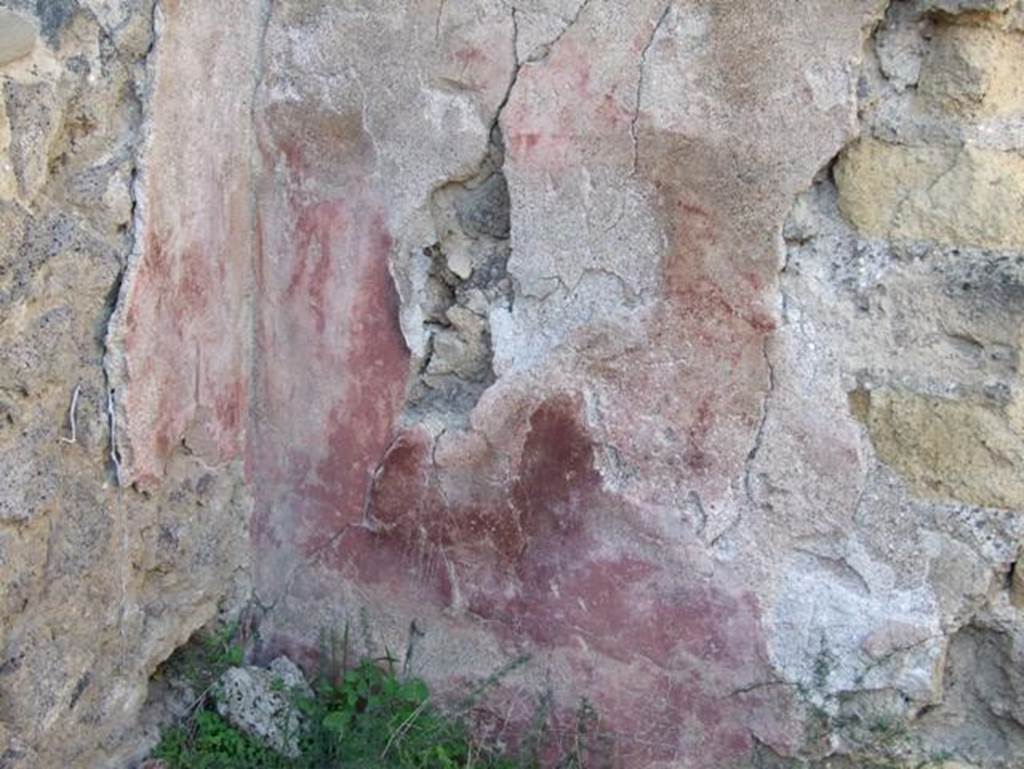 V.2.19 Pompeii. December 2007. Remains of painted plaster in north-west corner above hearth.  