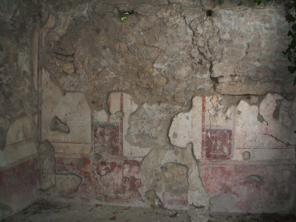 V.3.4 Pompeii, May 2005. Triclinium, west wall. 
According to Sogliano, the walls were decorated with large panels on a white background.
Three panels were seen on each wall, they had a red lower plinth.
The upper frieze of the walls was decorated with a white background, and showed architectural motifs, arabesques, garlands, flying animals, etc.
At the very top they finished with a stucco cornice in relief decorated with small painted palms.  
Found in the centre of the other preserved panels were flying cupids with various attributes.