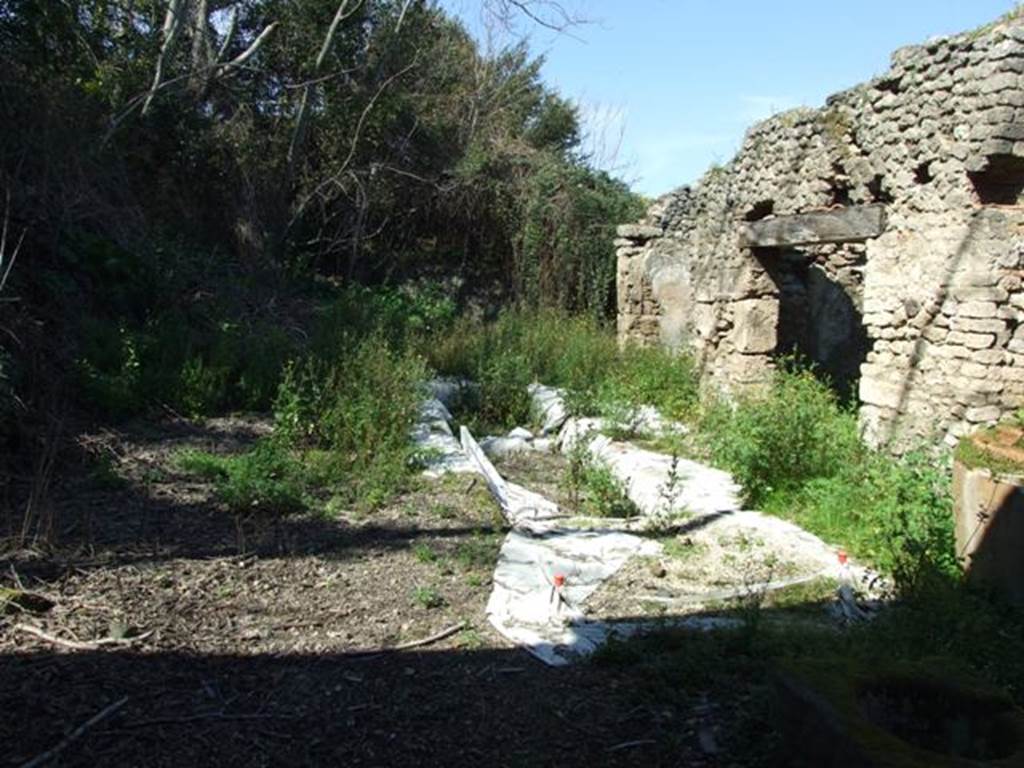 V.3.4 Pompeii. March 2009. Garden area.