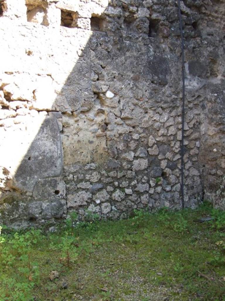 V.3.4 Pompeii. March 2009.  East wall of Southern Room on East side.