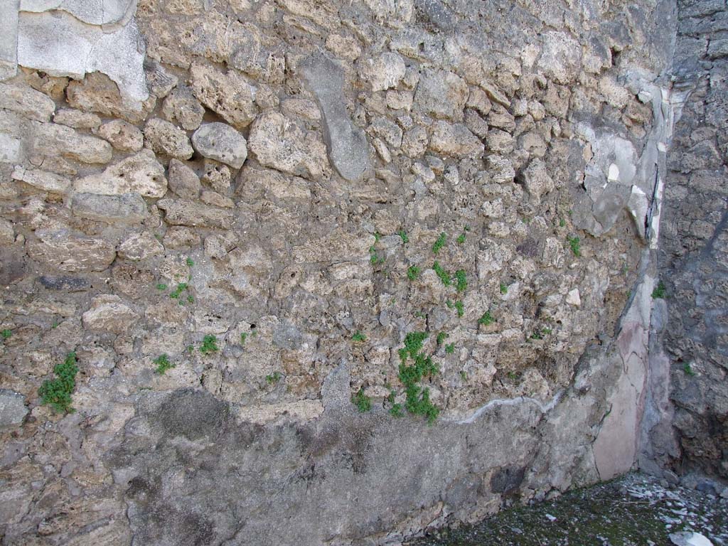 V.3.8 Pompeii. March 2009. West wall of tablinum with two windows. 