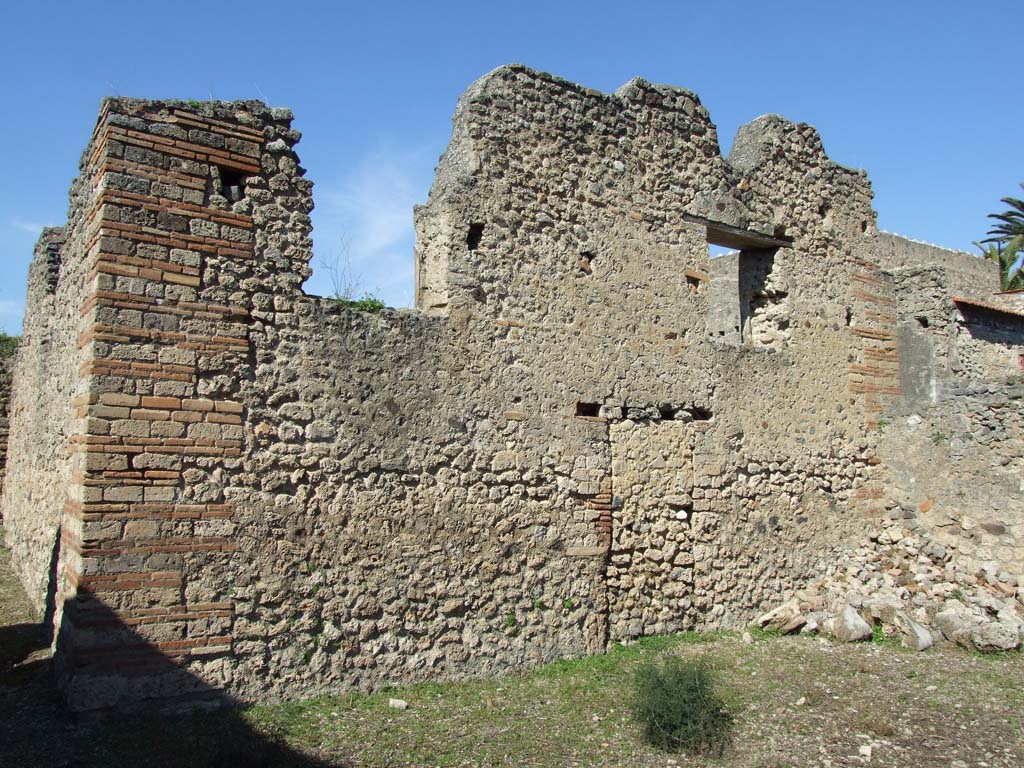 V.3.8 Pompeii. March 2009. North wall of garden (a).