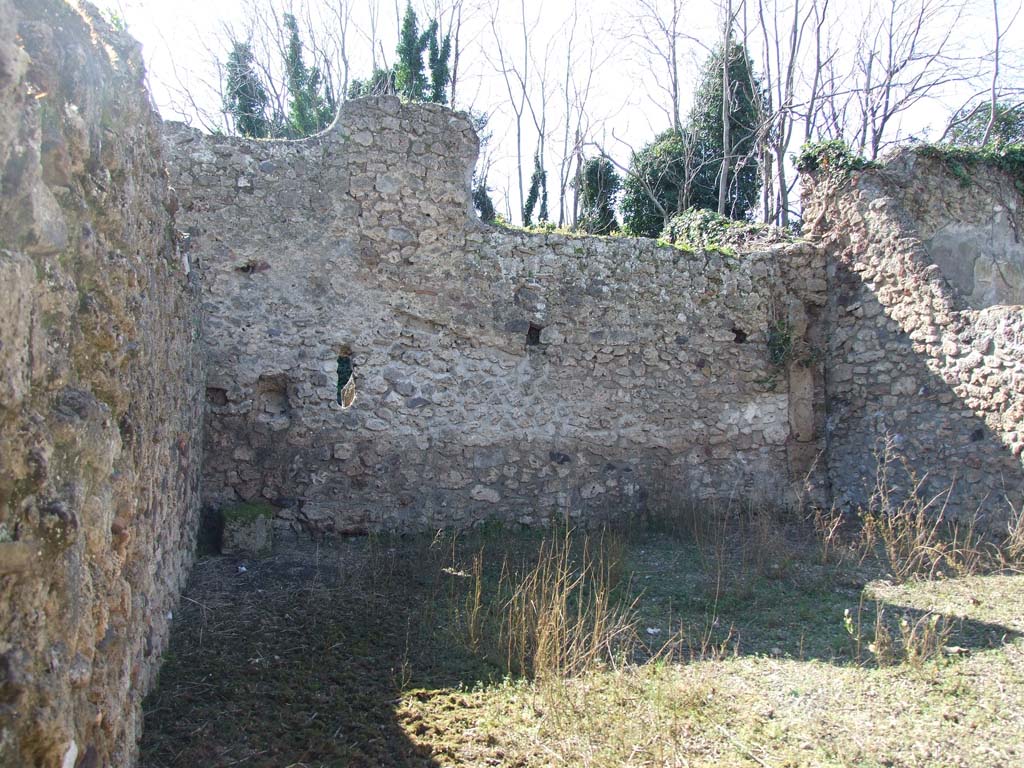 V.3.8 Pompeii. March 2009. West wall in garden (b).