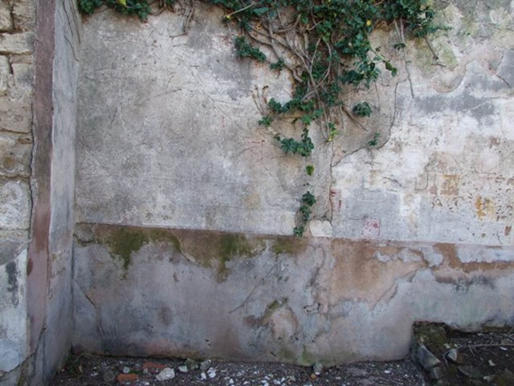 V.3.10 Pompeii. March 2009. West wall of south portico in the garden area.  