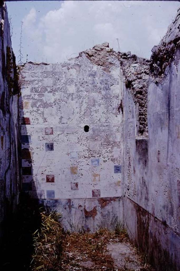 V.3.10 Pompeii. 1964. Looking towards north-east corner.   Photo by Stanley A. Jashemski.
Source: The Wilhelmina and Stanley A. Jashemski archive in the University of Maryland Library, Special Collections (See collection page) and made available under the Creative Commons Attribution-Non Commercial License v.4. See Licence and use details.
J64f1860
