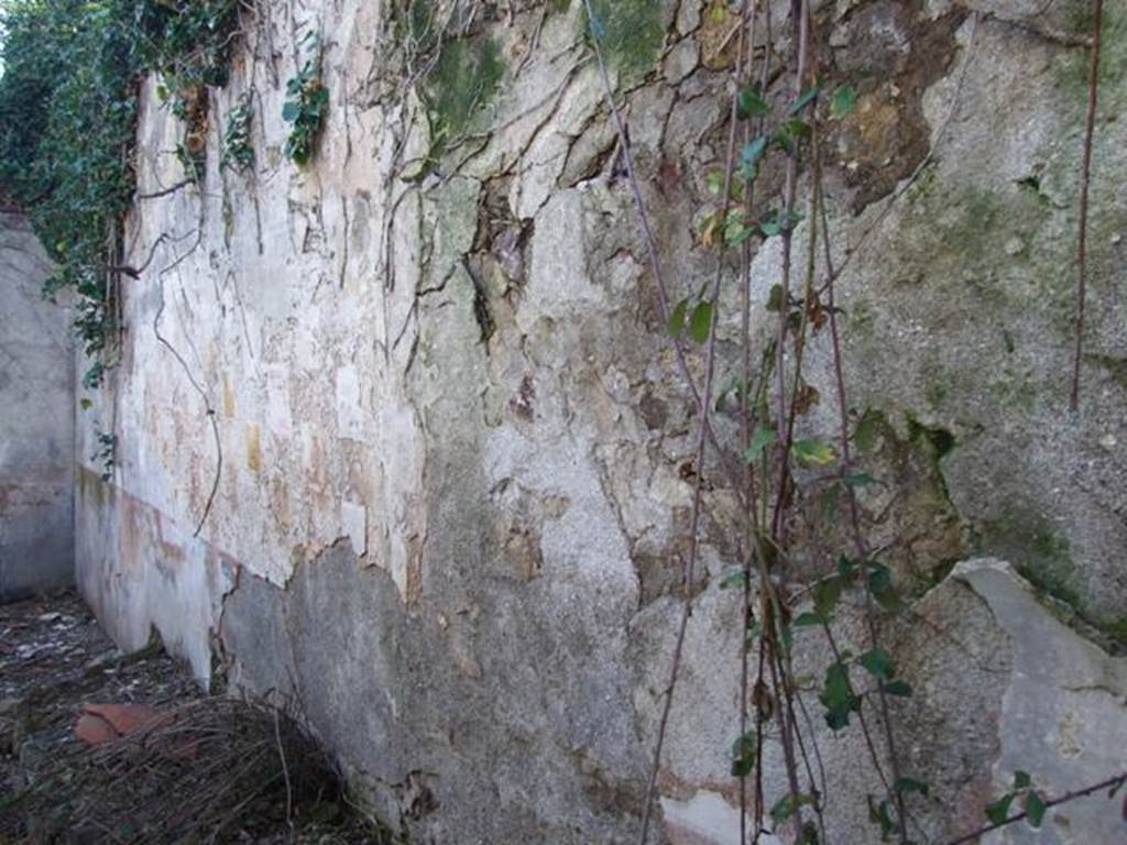 V.3.10 Pompeii. March 2009. West wall of garden area.