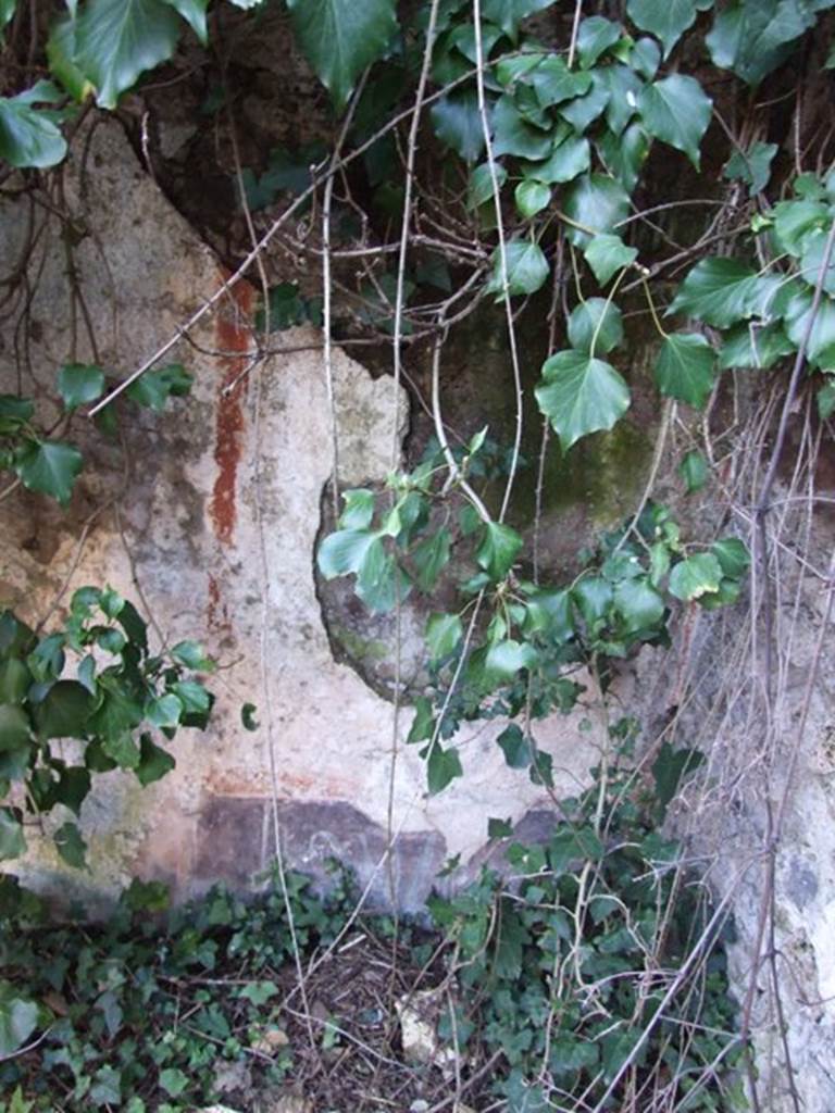 V.3.11 Pompeii. March 2009.  North west corner of garden. Painted plaster.