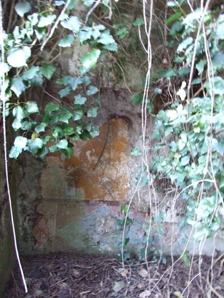 V.3.11 Pompeii. March 2009. West wall of garden room. According to NdS, at the north end of the garden was a windowed triclinium. The dado was of imitation marble. The walls were decorated with a yellow background and in the centre of each of the three walls was a medallion with a bust of a maenad.  The right one showed a maenad crowned with vine leaves, dressed in a green peplos pinned on the right shoulder by a gold brooch. In the middle was a bust of a blonde woman with a diadem and gold necklace and fine white veil (Ariadne?). On the left was another crowned feminine head, with gold necklace and fine veil. See Notizie degli Scavi, 1902, (p.372)
According to Bragantini, the west wall at the south end would have had a dado of imitation marble with a decorative picture of a diamond shape. In the yellow middle zone would have been a decorative bordered panel. In the yellow middle zone of west wall at the north end would have been a painted panel, but nothing remained.
See Bragantini, de Vos, Badoni, 1983. Pitture e Pavimenti di Pompei, Parte 2. Rome: ICCD. (p.80, room I)
