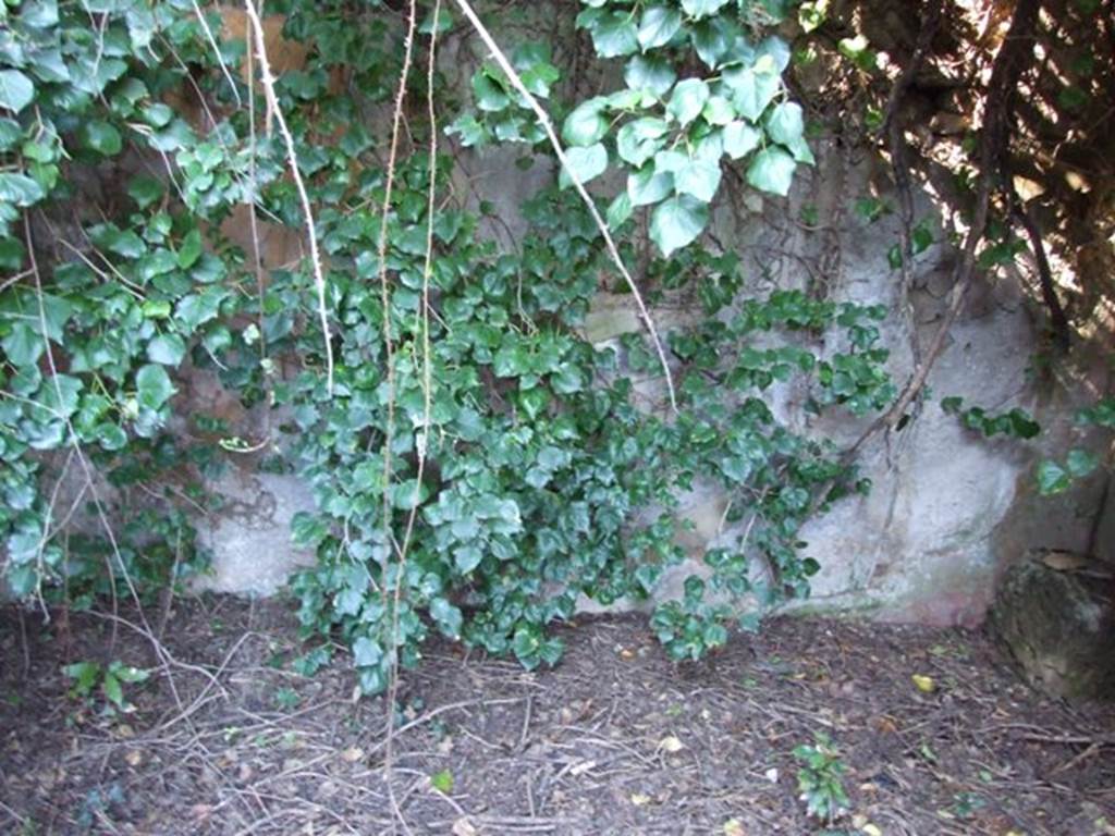 V.3.11 Pompeii. March 2009. North wall of garden room. According to Bragantini, in the middle zone would have been a central white panel with a yellow side panel on each side.
The frieze was yellow.
