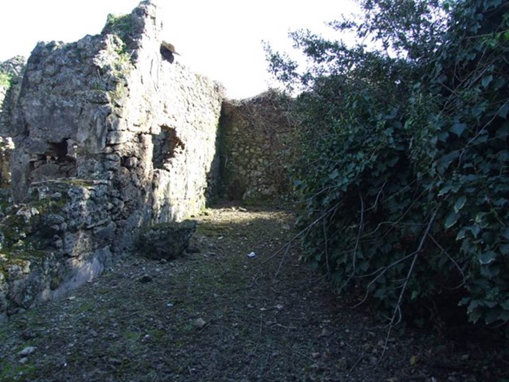 V.3.11 Pompeii. March 2009.  Looking south across Garden.