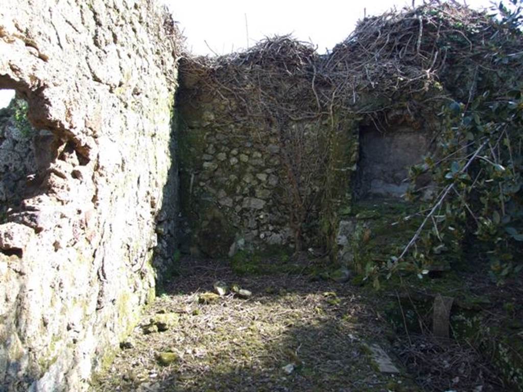 V.3.11 Pompeii. March 2009.  South wall of the Garden, with remains of Aedicula shaped fountain niche and Biclinium.