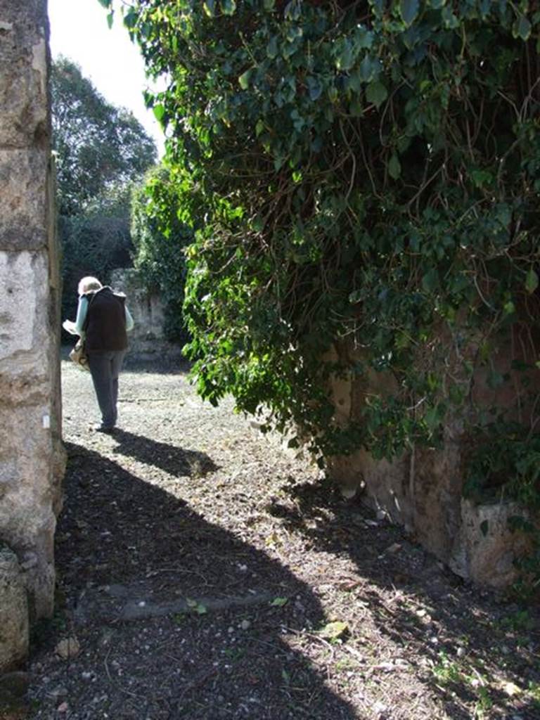 V.3.11 Pompeii. March 2009. Entrance doorway. Looking west. According to NdS, the entrance threshold was made of lava. The door was formed of double shutters, but only the right iron door hinge remained. In the door jambs were two rectangular recesses in which were placed the cross-bar to secure the door.  The walls of the entrance corridor were painted in black. On the dado were painted plants with large leaves. The large upper panels of the wall were also black, divided by yellow bands, and contained paintings of animals, masks, and landscapes. A graffito of a ship was seen on the left wall, above it one could see white, red and yellow banding placed vertically. See Notizie degli Scavi, 1902, (p.369)

