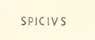 V.4.10 Pompeii. Then more towards the doorway at number 10, near to a high red zoccolo, on the coarse plaster were two fighting gladiators, roughly painted, in monochrome red. On one of these in red and solid letters, could be read - SPICIVS