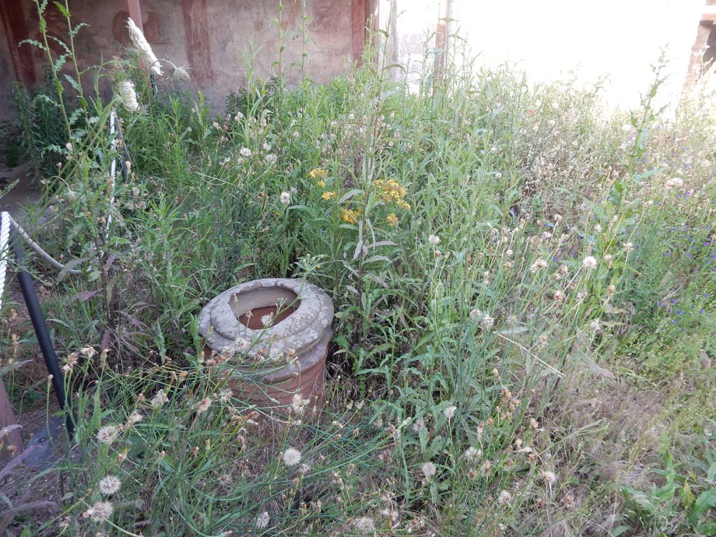 V.4.a Pompeii. June 2019. Terracotta pot in peristyle garden. Photo courtesy of Buzz Ferebee.