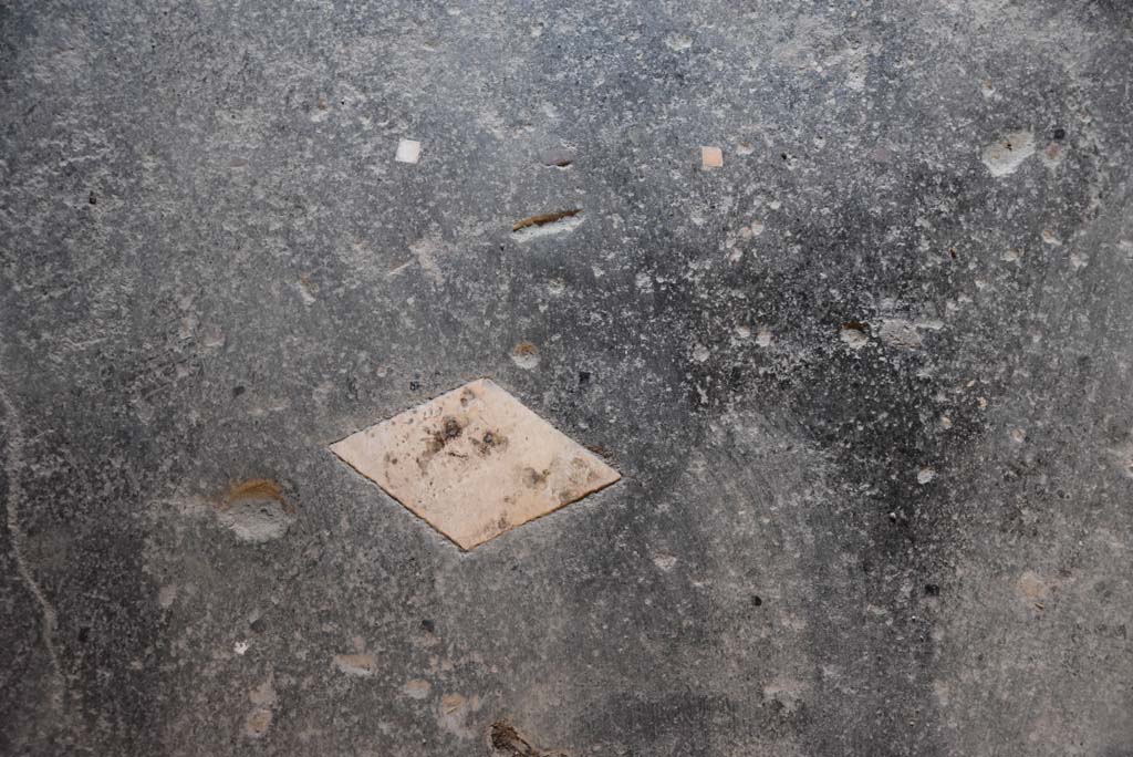 V.4.a Pompeii. March 2018. Room ‘i’, detail of flooring in cubiculum, looking east.
Foto Annette Haug, ERC Grant 681269 DÉCOR.

