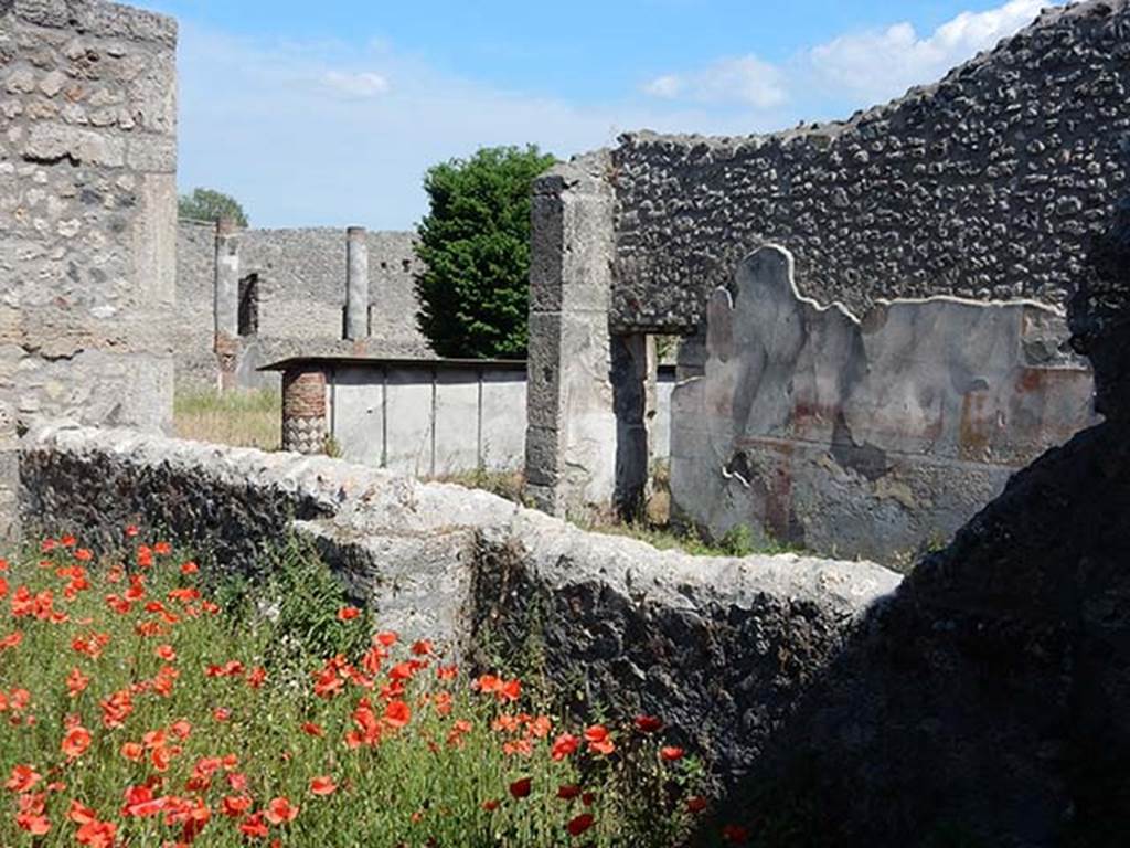 V.5.a Pompeii. May 2017. Looking south-east from Vicolo dei Gladiatori. Photo courtesy of Buzz Ferebee.
